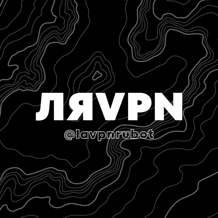 LAVPN Logo